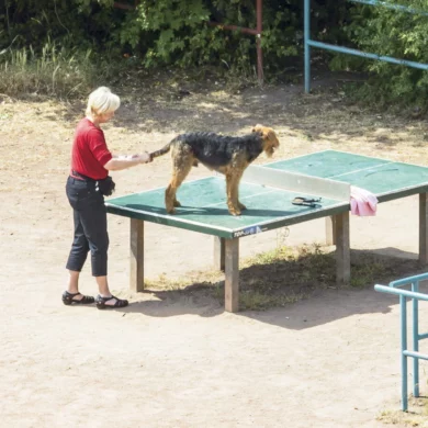 Visions du Réel Nyon cinéma festival slash culture