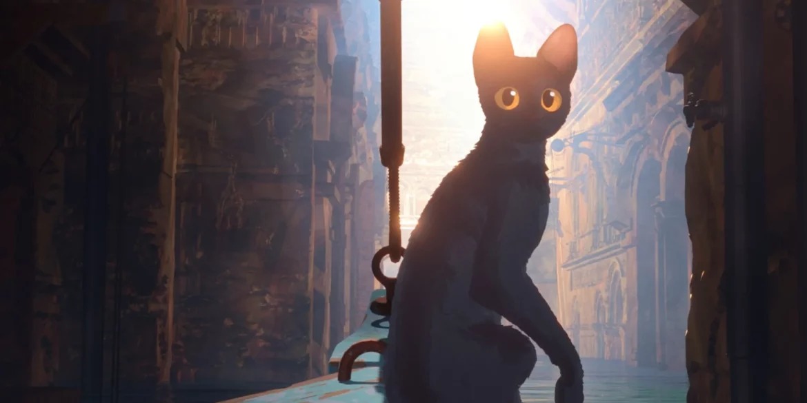 flow film animation slash culture