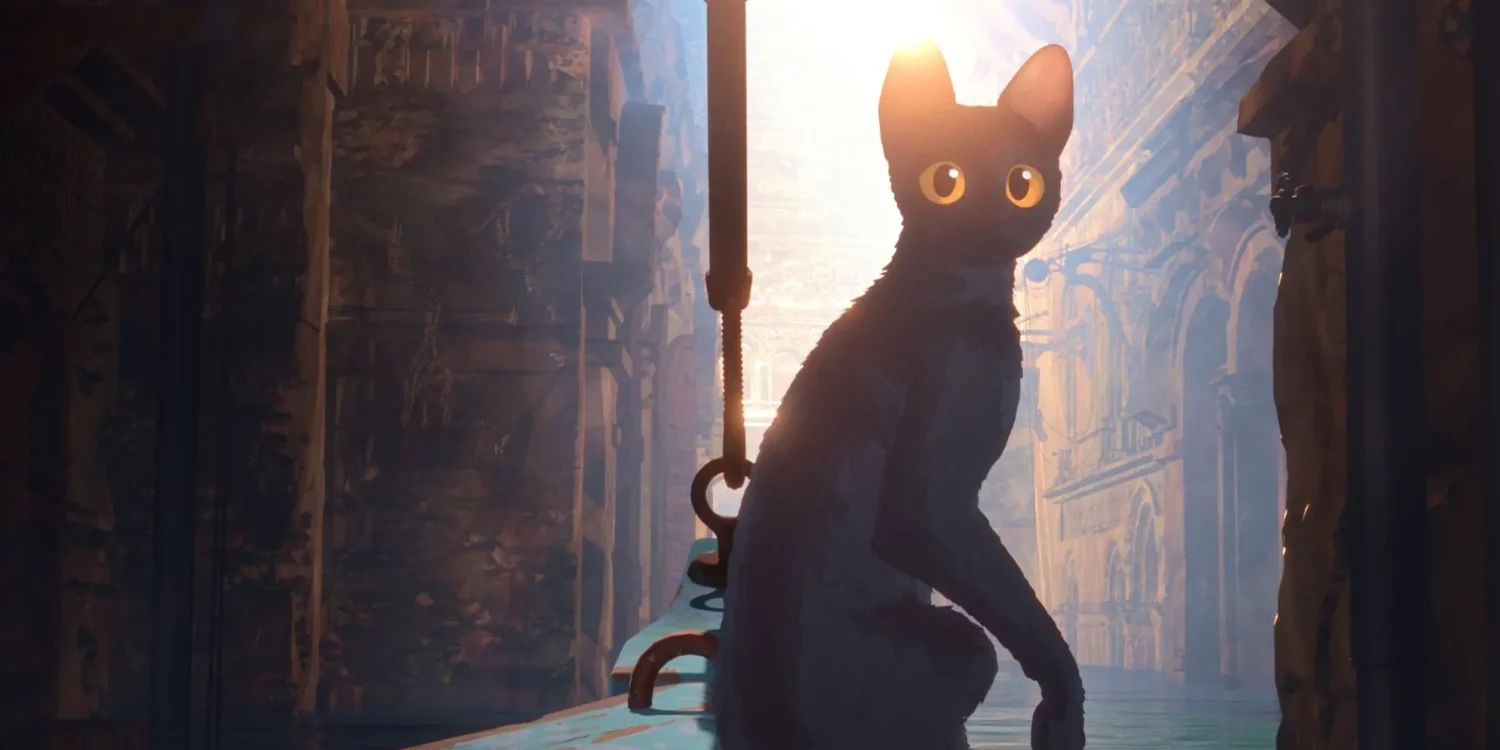 flow film animation slash culture