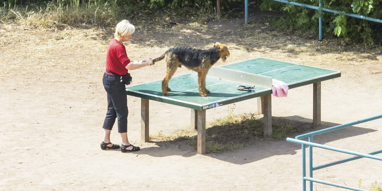 Visions du Réel Nyon cinéma festival slash culture