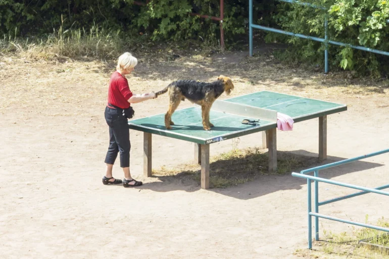 Visions du Réel Nyon cinéma festival slash culture